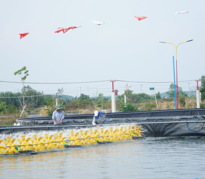 Chủ động bảo vệ thủy sản mùa nóng