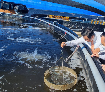 Các biện pháp xử lí môi trường nước bị ô nhiễm trong nuôi trồng thủy sản