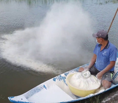 Phòng và xử lý phèn trong ao nuôi