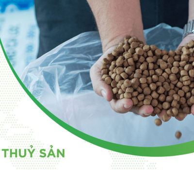 Chế độ dinh dưỡng cho thủy sản sau mưa lũ